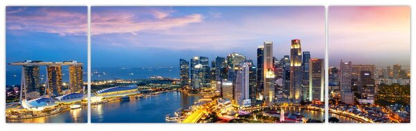 Obraz - Singapur, Asie (170x50 cm)