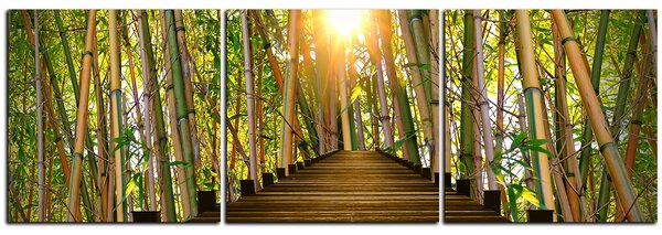 Obraz na plátně - Dřevěná promenáda v bambusovém lese - panoráma 5172B (90x30 cm)