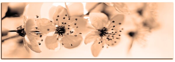 Obraz na plátně - Malé květy na větvi - panoráma 5173FA (105x35 cm)