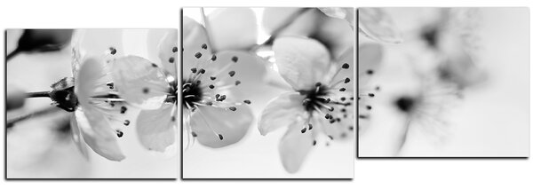 Obraz na plátně - Malé květy na větvi - panoráma 5173QE (90x30 cm)