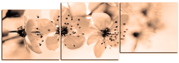 Obraz na plátně - Malé květy na větvi - panoráma 5173FE (90x30 cm)