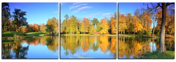 Obraz na plátně - Podzimní park - panoráma 5175B (90x30 cm)