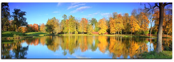 Obraz na plátně - Podzimní park - panoráma 5175A (105x35 cm)