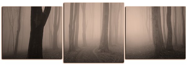 Obraz na plátně - Mlha v lese - panoráma 5182FD (90x30 cm)