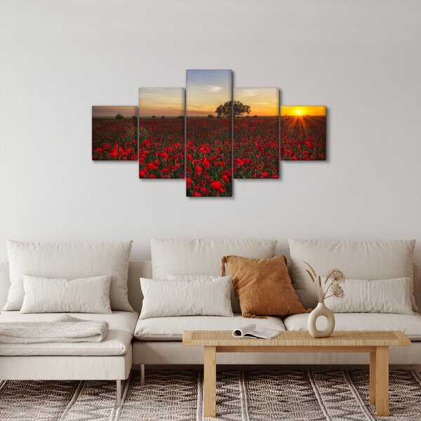Obraz louky s vlčími máky (125x70 cm)