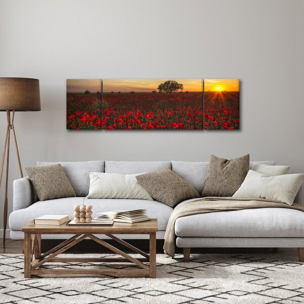 Obraz louky s vlčími máky (170x50 cm)