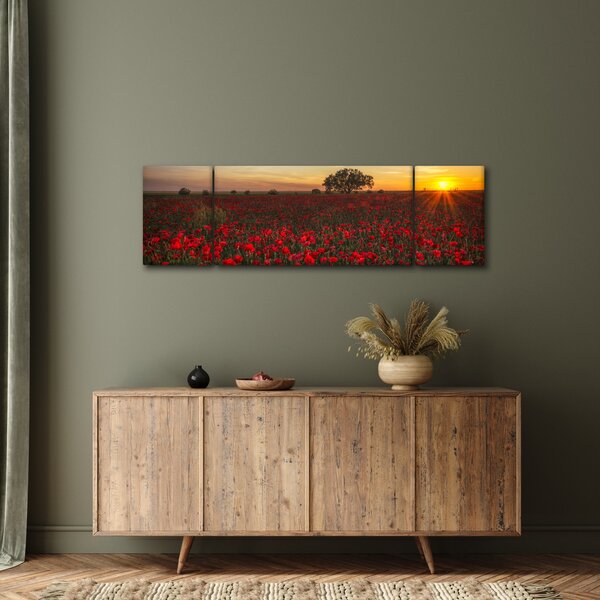 Obraz louky s vlčími máky (170x50 cm)