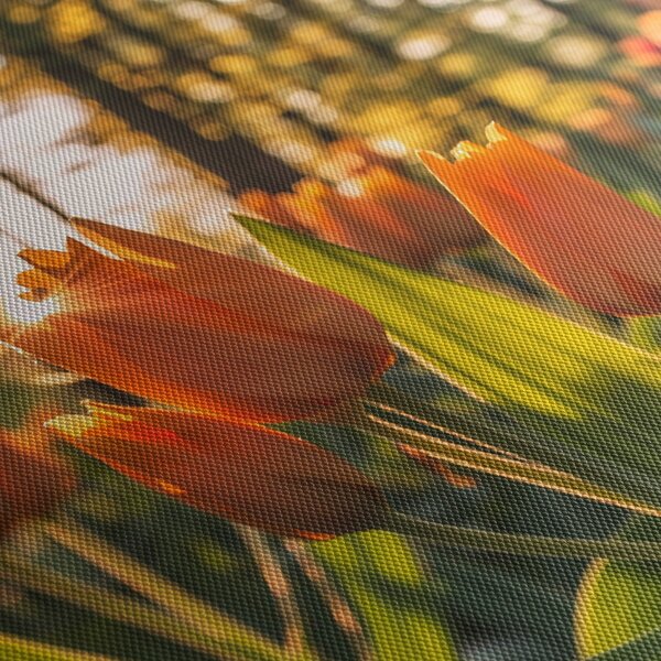 Obraz - oranžové tulipány (170x50 cm)