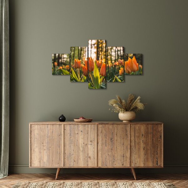 Obraz - oranžové tulipány (125x70 cm)