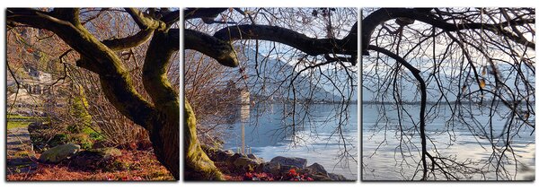 Obraz na plátně - Podzim u jezera - panoráma 5198B (90x30 cm)