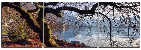 Obraz na plátně - Podzim u jezera - panoráma 5198C (90x30 cm)