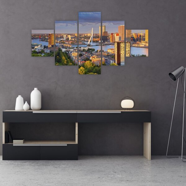 Obraz - Panorama Rotterdamu, Nizozemsko (125x70 cm)