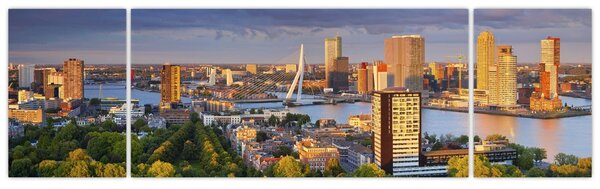 Obraz - Panorama Rotterdamu, Nizozemsko (170x50 cm)