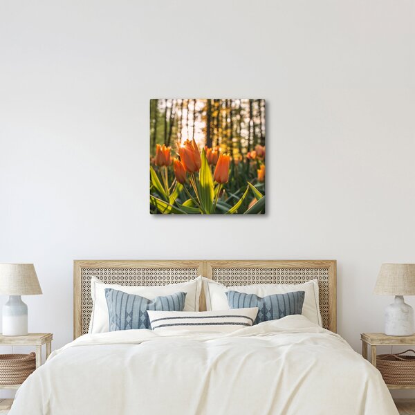 Obraz - oranžové tulipány (30x30 cm)