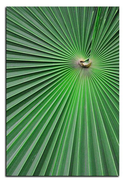 Obraz na plátně - Tropické listy - obdélník 7205A (60x40 cm)
