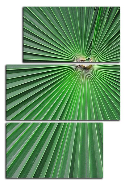 Obraz na plátně - Tropické listy - obdélník 7205D (90x60 cm)