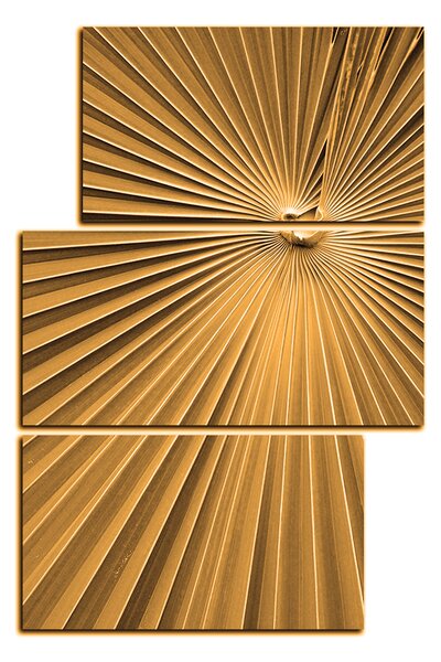 Obraz na plátně - Tropické listy - obdélník 7205FD (90x60 cm)