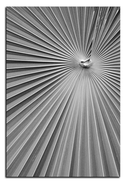 Obraz na plátně - Tropické listy - obdélník 7205QA (60x40 cm)