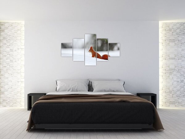 Obraz veverky (125x70 cm)