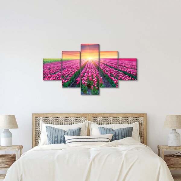 Obraz pole tulipánů se sluncem (125x70 cm)