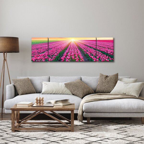 Obraz pole tulipánů se sluncem (170x50 cm)