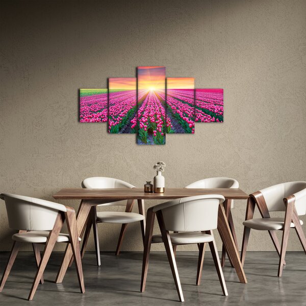 Obraz pole tulipánů se sluncem (125x70 cm)