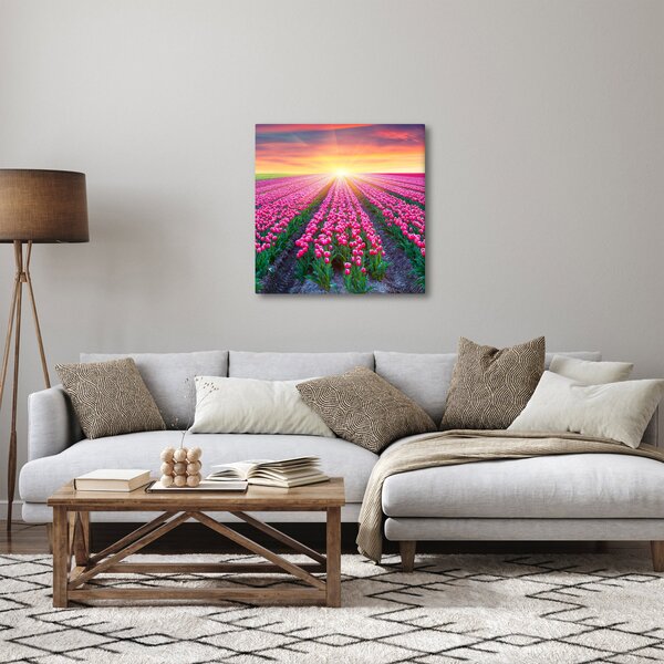 Obraz pole tulipánů se sluncem (30x30 cm)