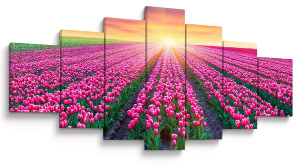 Obraz pole tulipánů se sluncem (210x100 cm)