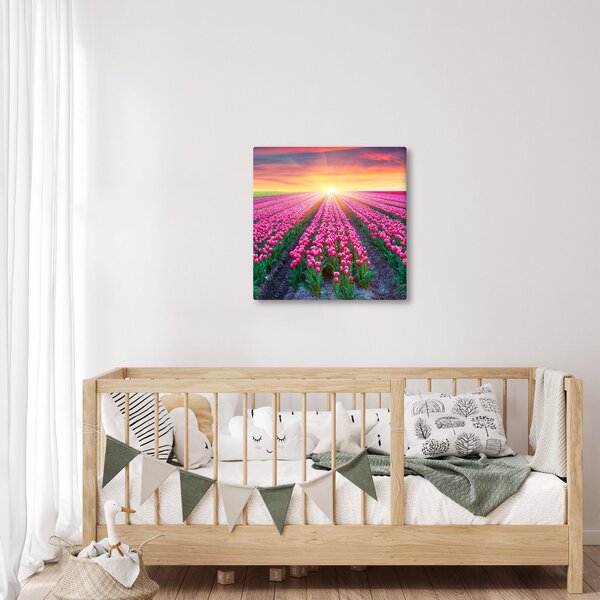 Obraz pole tulipánů se sluncem (30x30 cm)