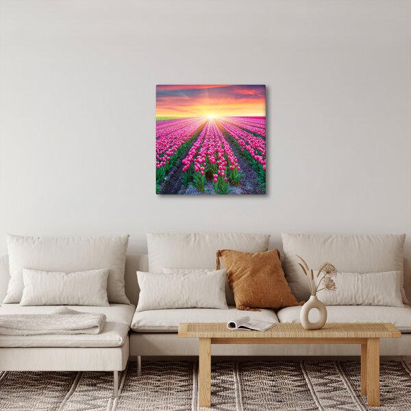 Obraz pole tulipánů se sluncem (30x30 cm)