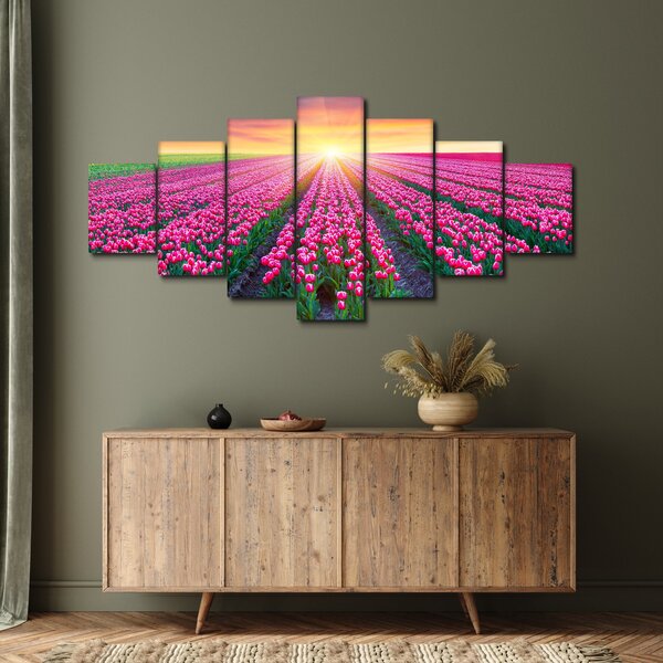 Obraz pole tulipánů se sluncem (210x100 cm)