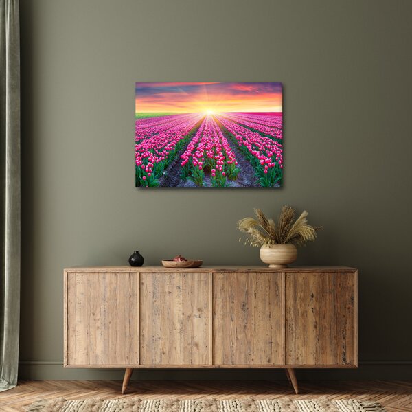Obraz pole tulipánů se sluncem (70x50 cm)