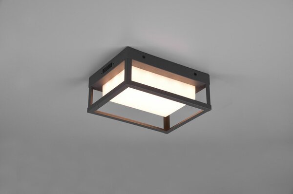 LED nástěnné venkovní svítidlo (výška 24 cm) Witham – Trio