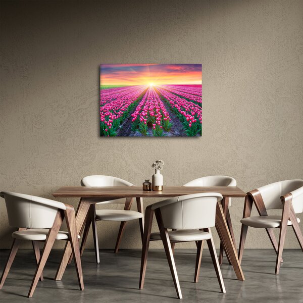 Obraz pole tulipánů se sluncem (70x50 cm)