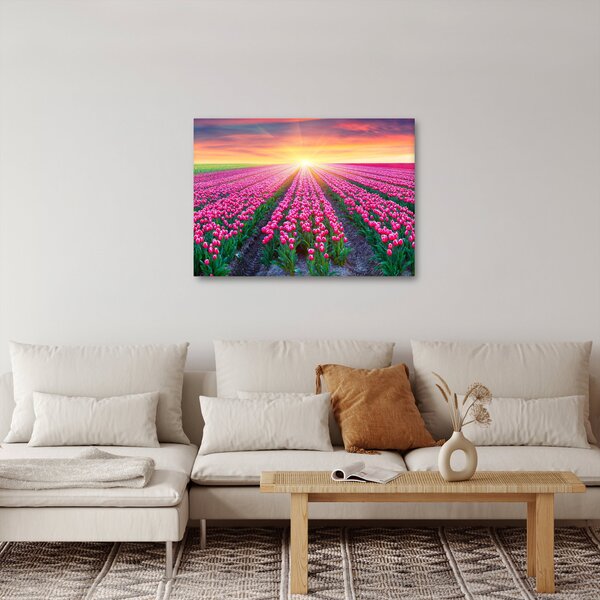 Obraz pole tulipánů se sluncem (70x50 cm)