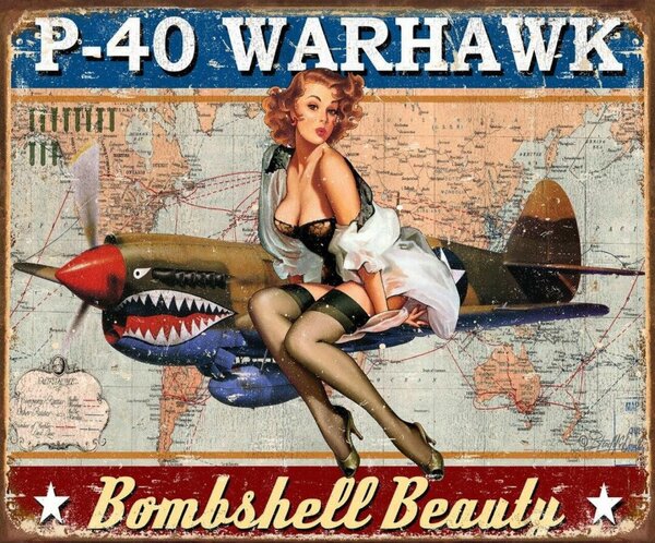 Plechová cedule P-40 Warhawk 40 cm x 32 cm