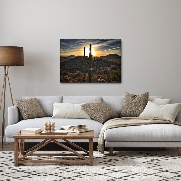 Obraz - kaktusy ve slunci (70x50 cm)