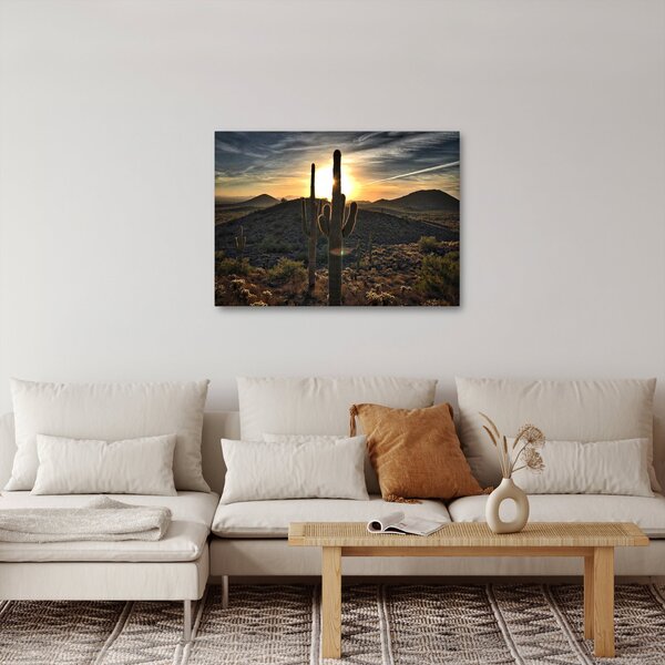 Obraz - kaktusy ve slunci (70x50 cm)