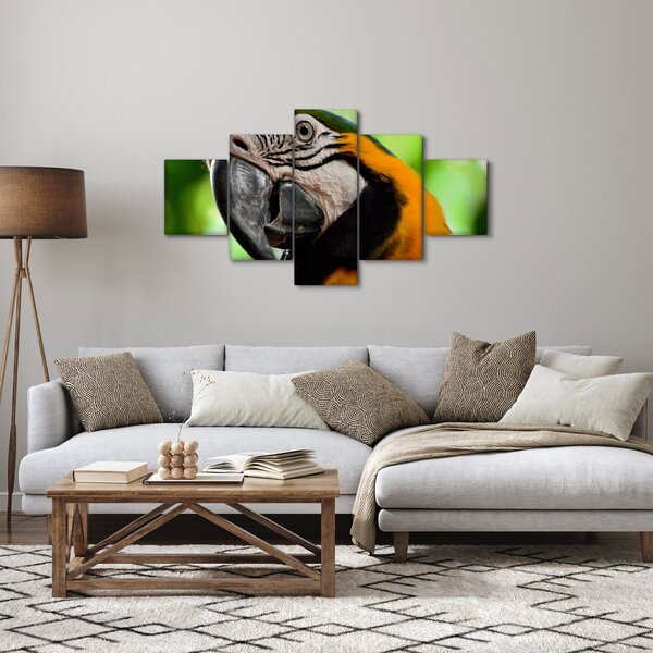 Obraz papouška (125x70 cm)