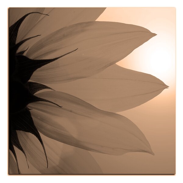 Obraz na plátně - Slunečnice květ - čtverec 3201FA (50x50 cm)
