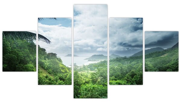 Obraz - Seychelská jungle (125x70 cm)