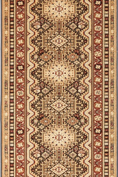 Běhoun Agnella Standard Remo tmavě hnědý