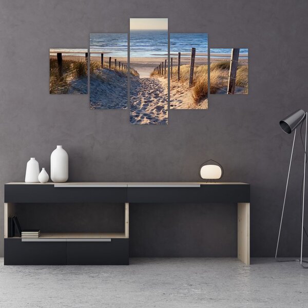 Obraz - Cesta k pláži Severního moře, Nizozemsko (125x70 cm)