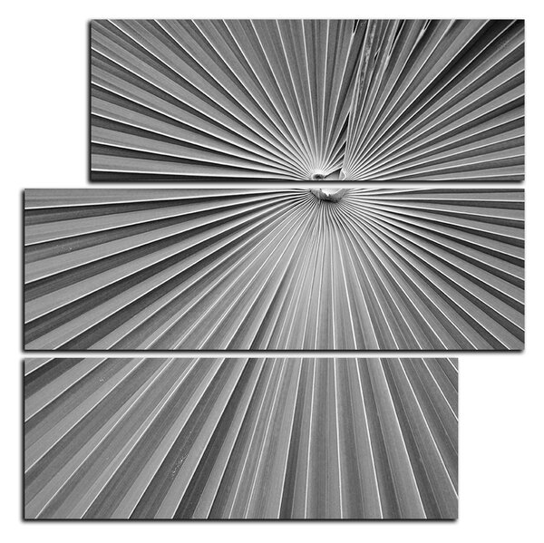 Obraz na plátně - Tropické listy - čtverec 3205QD (75x75 cm)