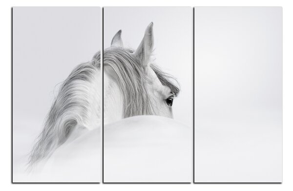 Obraz na plátně - Andaluský kůň v mlze 1219B (90x60 cm )