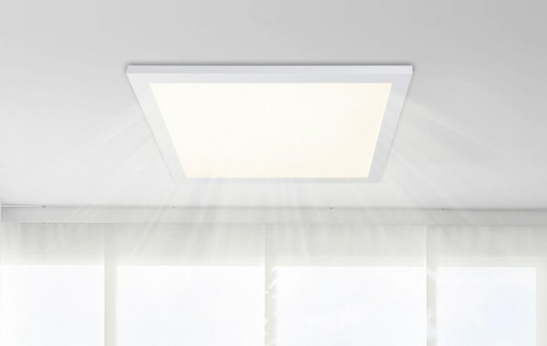 STROPNÍ LED SVÍTIDLO, 45/45/5 cm Globo - Online Only svítidla, Online Only