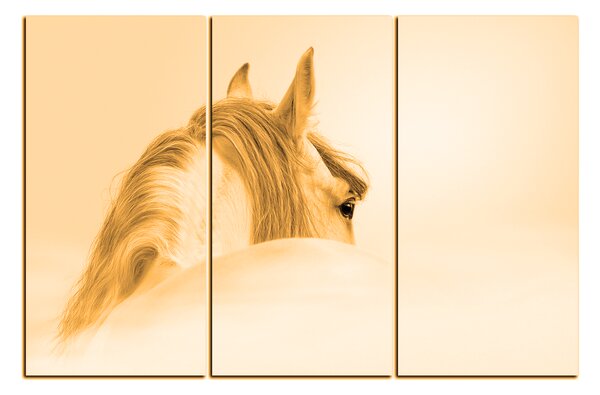 Obraz na plátně - Andaluský kůň v mlze 1219FB (90x60 cm )