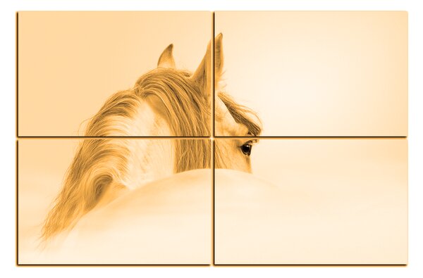 Obraz na plátně - Andaluský kůň v mlze 1219FE (90x60 cm)