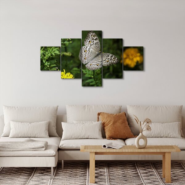 Obraz - bílý motýl (125x70 cm)