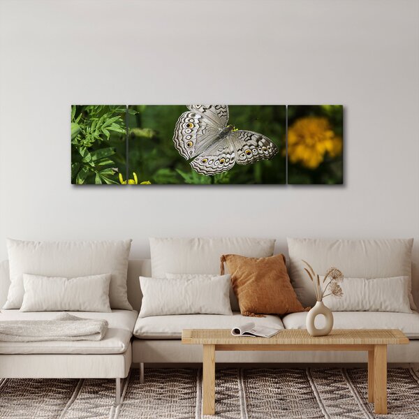 Obraz - bílý motýl (170x50 cm)